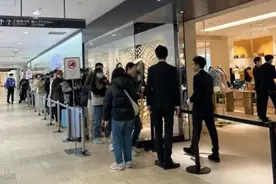 日本奢侈品白菜价，白菜变奢侈品，一棵卖到100元图片