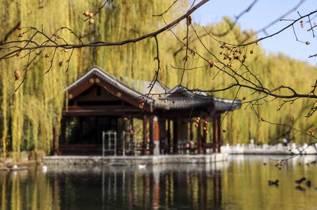 北京二环路边的园林风景