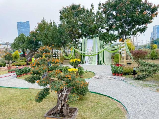 武汉官宣：11月1日，持续一个月！很多市民等了一年——