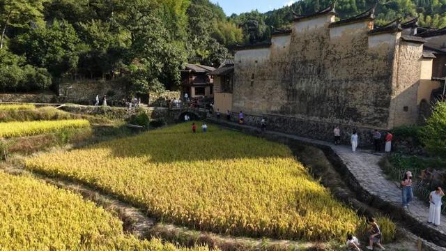 【网络中国节·中秋】国庆中秋假期 屏南乡村游热潮涌动