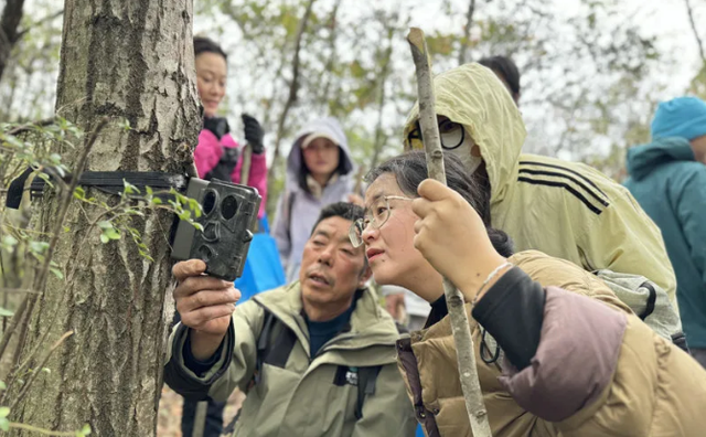 青睐绵阳 ‖ 小众彩林秘境！平武这条沟藏着最惊艳的秋天~