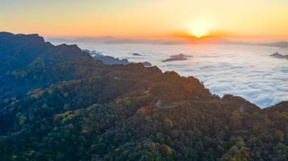 为有秋色赋人间