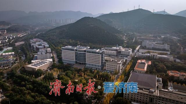 济南二环南路秋日生态与都市繁华交织，绘就别样风景