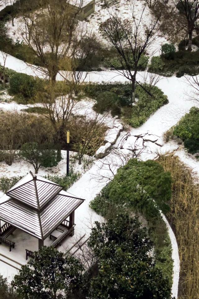 雪后的日照，美成水墨画！附最新闭园公告！