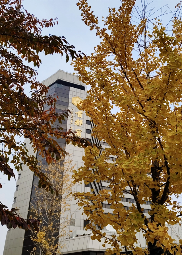 国庆中秋游北京住哪儿？三大主题「北京宝藏酒店」藏着城市的“另一面”