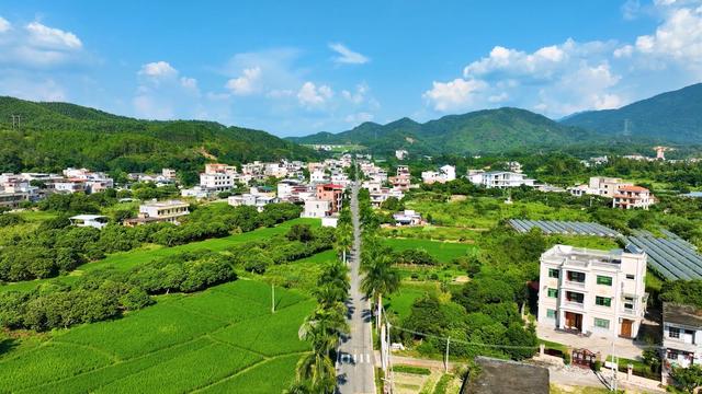 35公里走廊串珠成链，惠东白盆珠绘就“山湖毓秀”和美画卷