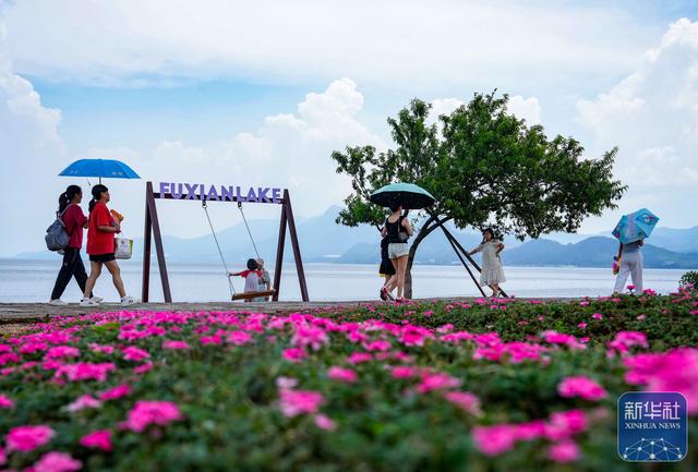 抚仙湖夏日引客来