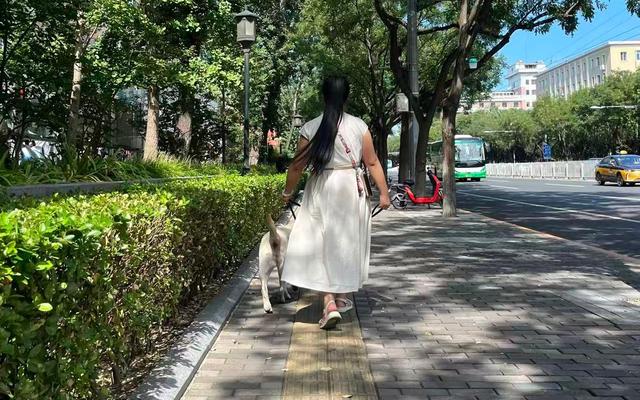 一场被视为“虐狗”的攀登：盲人王营营，和她未登顶的泰山