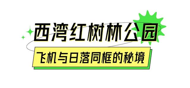 我的宝藏城区：宝安十一假期打卡不完全攻略
