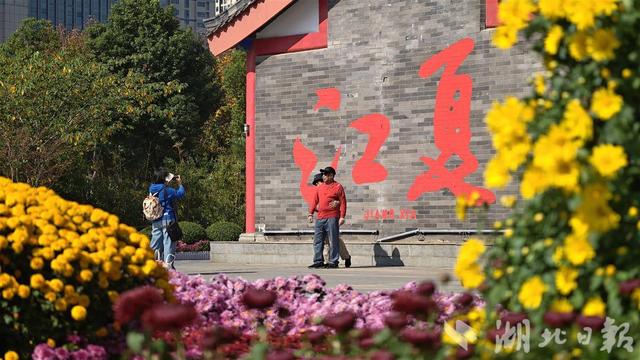 江夏菊展持续火爆 “戏曲”元素出圈