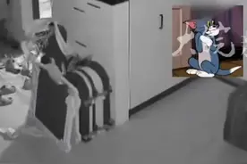 凌晨3点，智能锁自动打开房门……网友：我家也这样图片