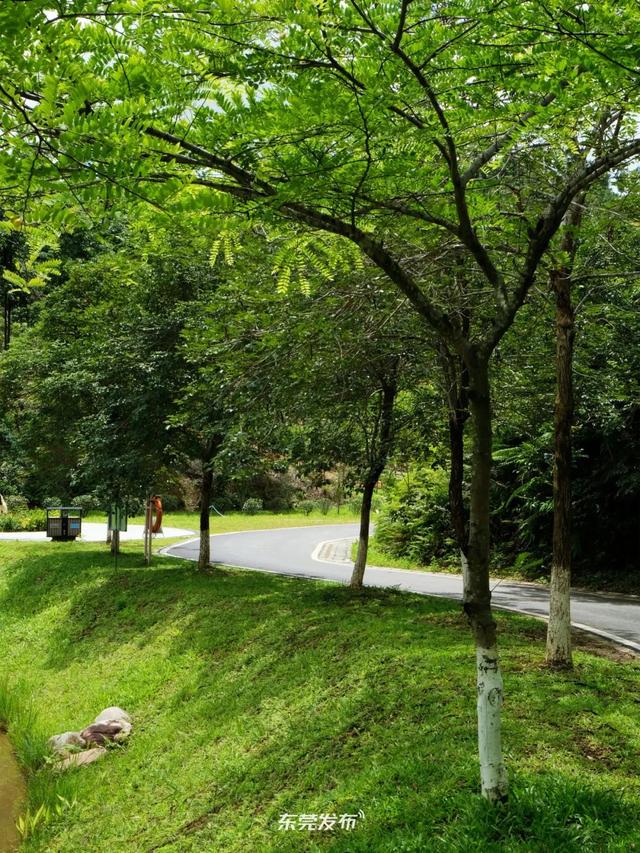东莞人私藏 ！遇见300年客家烟火气！