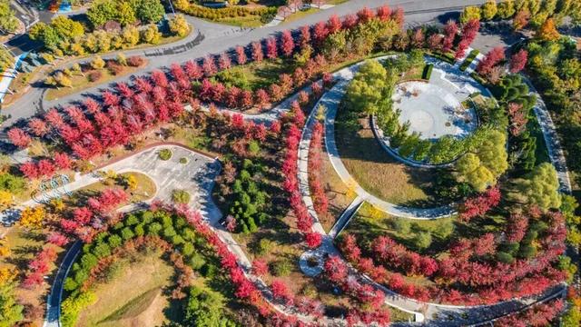 多彩京秋各区巡游 | 延庆区“赏秋日记” 一园秋色，满目画卷
