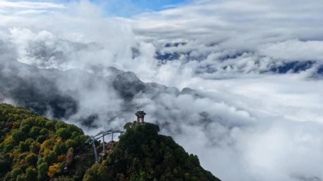 陕西少华山:秦岭红叶引客来 擦亮“秋日名片”