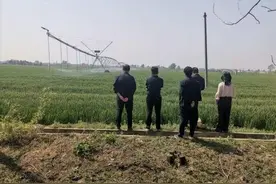 岐山县益店镇：田间实干显担当 麦香四溢绘新篇图片