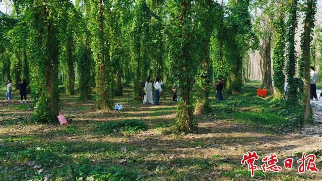 跨越山水 常德汉寿向重庆发出“快旅慢游”新邀约！