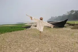 揭秘：稻草人真的能把鸟吓走吗？图片