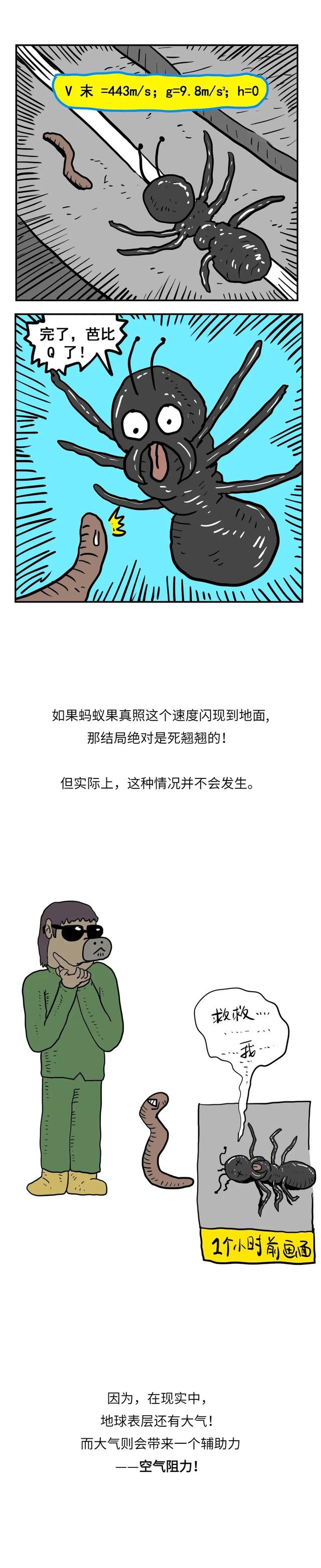 假如蚂蚁从飞机上掉下，不会摔死吗？