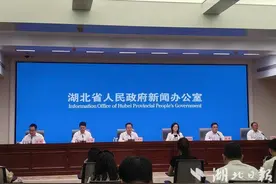 湖北5月新上牌新能源车27646辆，占比超40%图片