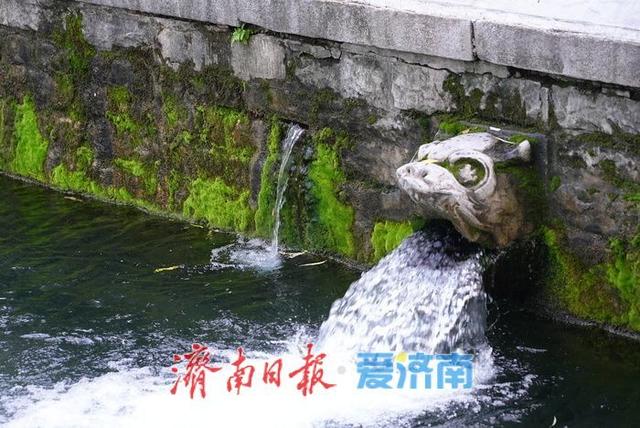 一年四季 泉在济南丨水位升高 黑虎泉池壁上再现新“喷口”