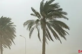 台风要来了！今年1号台风“蝴蝶”将生成，暴雨、大暴雨……这些区域“雨一直下”图片