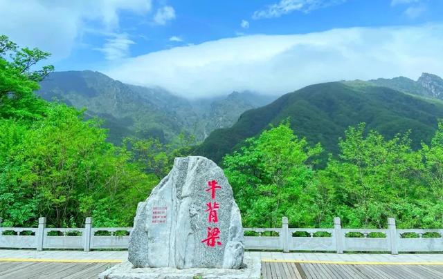 新华社《我爱露营》走进商洛