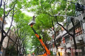 夏令热线 | 大树枝繁叶茂，影响采光通风，绿化部门调来登高车疏枝图片