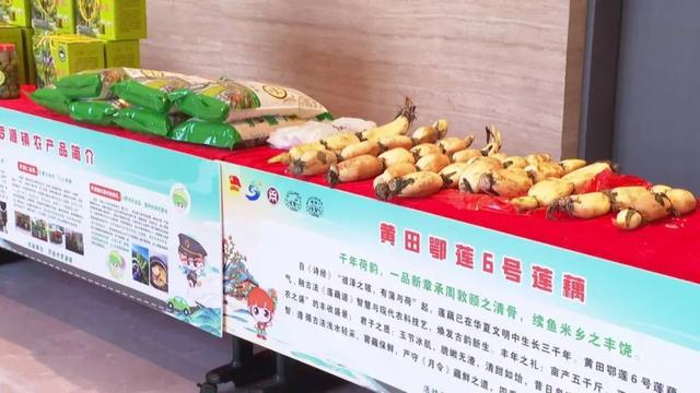 文旅融合新玩法！高校学子带你玩转四会高速服务区