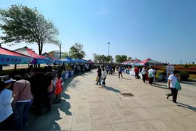 海力风电·2025乳山半程马拉松｜山海跑道连八方 舌尖非遗绽乳山图片