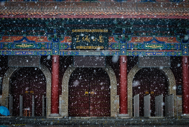 天呐，洛阳的这份「反差感」，绝了！