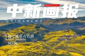 云南罗平：新年“有财花” 拥抱春日里漫山遍野的“金黄”图片