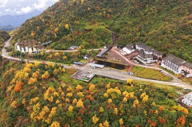 秋假必冲！瓦屋山免门票赏秋，徒步挑战拿奖牌！