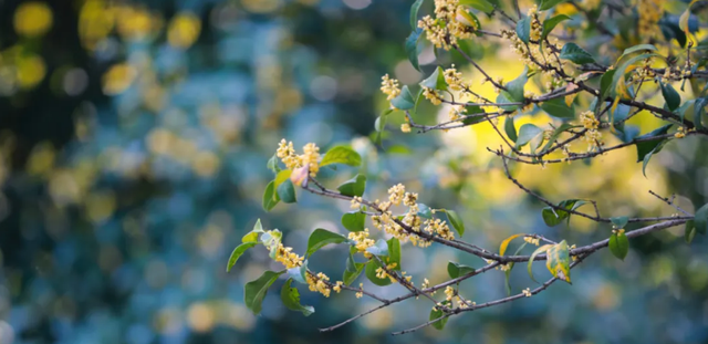 无锡，今天最江南！