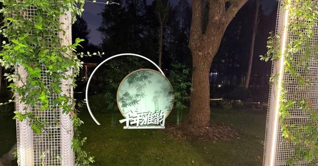 决定了，周六就去渤公岛！