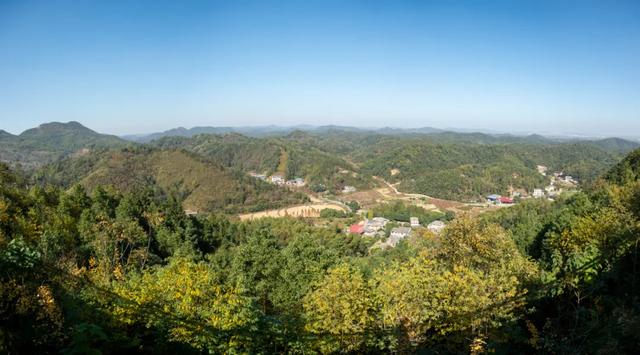 @0731，一组绿心秋色卡，请查收！