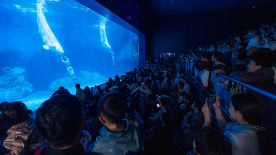 郑州海昌海洋公园年味不停，宠妮来袭！