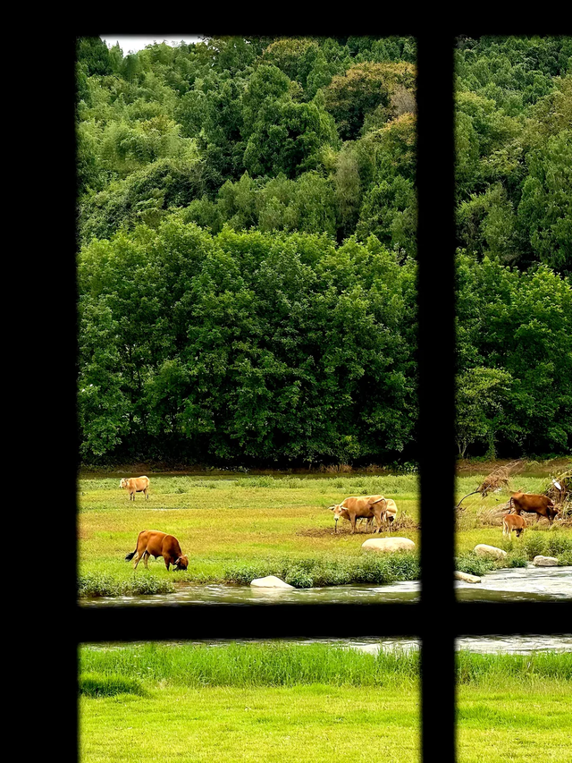 速冲！到这里get明星同款秋日大片！