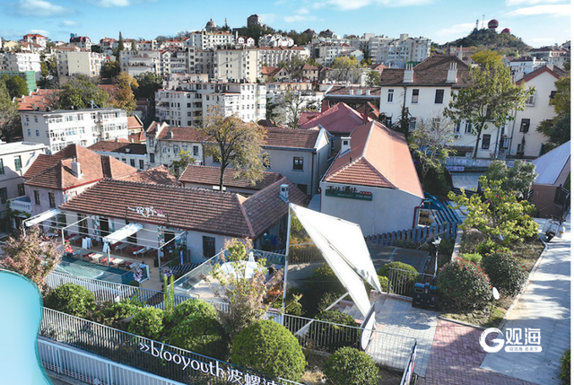 从文化秀场到产业引擎，青岛庭院文旅正培育新型公共文化空间