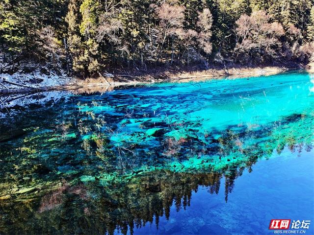 九寨沟的冬日浪漫：雪吻海子，阳光作画，太治愈了