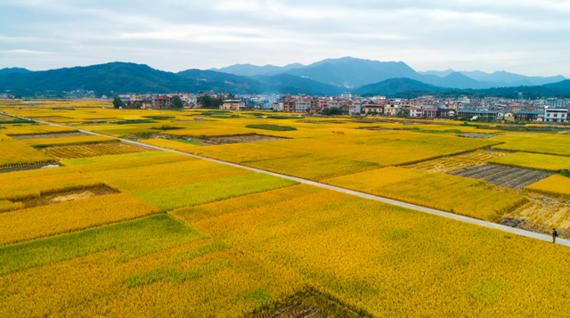 打卡龙岩这几地，随手拍都是秋日大片