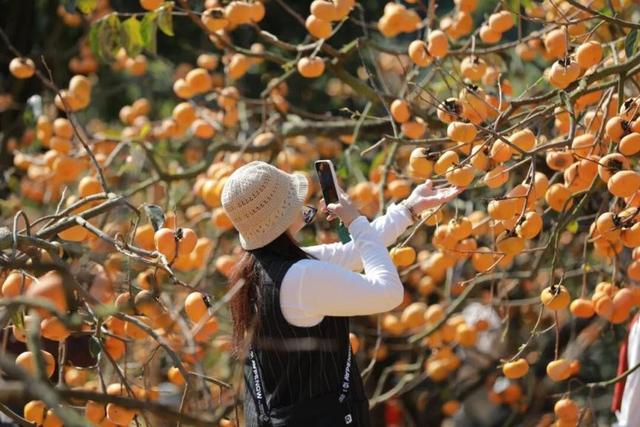 这座高铁站内，为啥众多旅客手拿树枝？