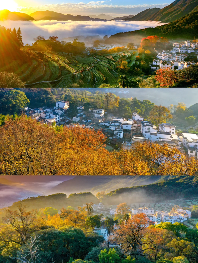 谁能拒绝？这片冬日“绝色”秘境藏不住了！