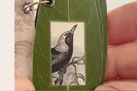 ​世界读书日|如何欣赏一本手工书图片