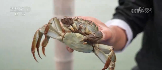 佳节至、文旅热、供应足 “中国红”扮靓大江南北 假日经济活力持续释放
