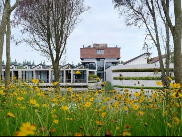 热搜！寒潮收尾！周末最高21℃！来光明东滩源、黄山茶林场兜兜…最低2折特惠！太值了！