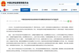证监会最新发布！东旭集团财务造假，拟罚款17亿元图片