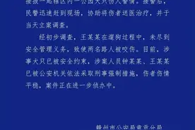 母女公园散步遭四条大型犬撕咬，江西赣州警方通报图片