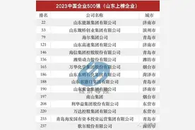 52家山东企业入围2023中国500强企业，17家营收超千亿！图片