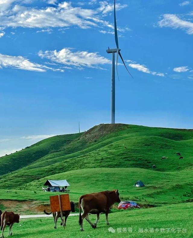 藏在桂北深山里的秘境！杆洞乡三天两夜， 梯田、草原、苗寨旅游打卡