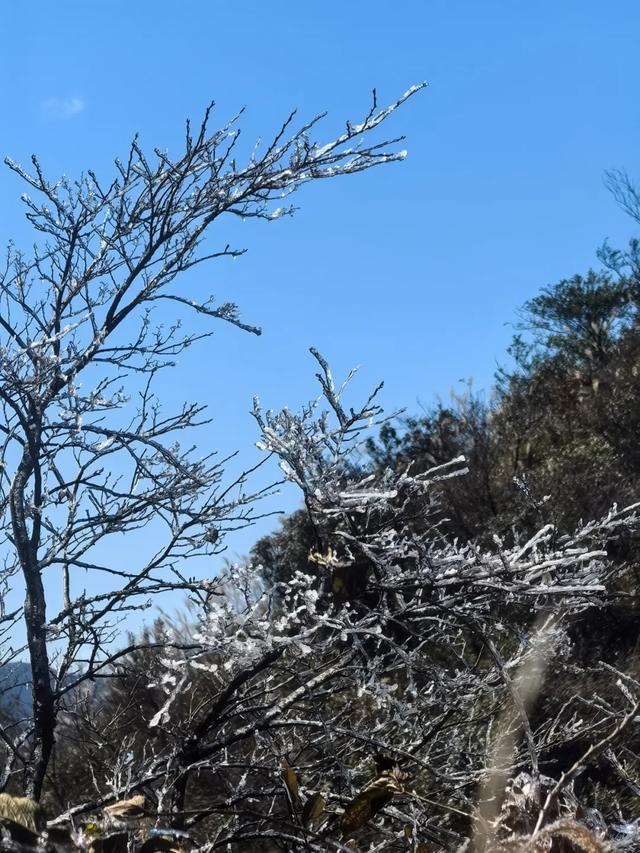 @湖南人，现在出发，去邂逅这片绝美冰晶世界！